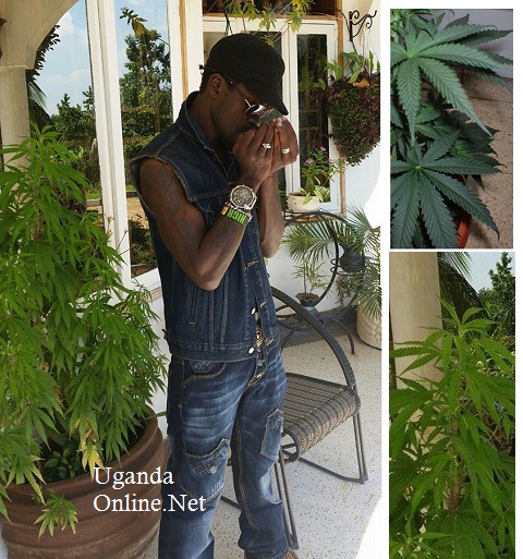 Bobi Wine at his home lighting up some herb