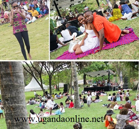 Revellers at a Blankets and Wine event recently