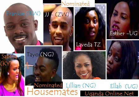 Big Brother Hotshots - Nominated housemates Week 2
